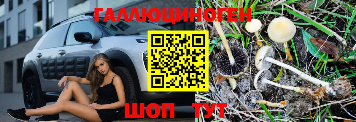 Ессентуки  Псилоцибиновые грибы MAGIC MUSHROOMS  Вход с VPN 