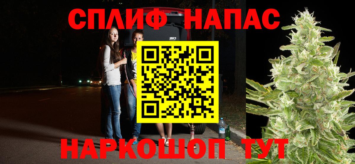 МАРИХУАНА семена Ессентуки